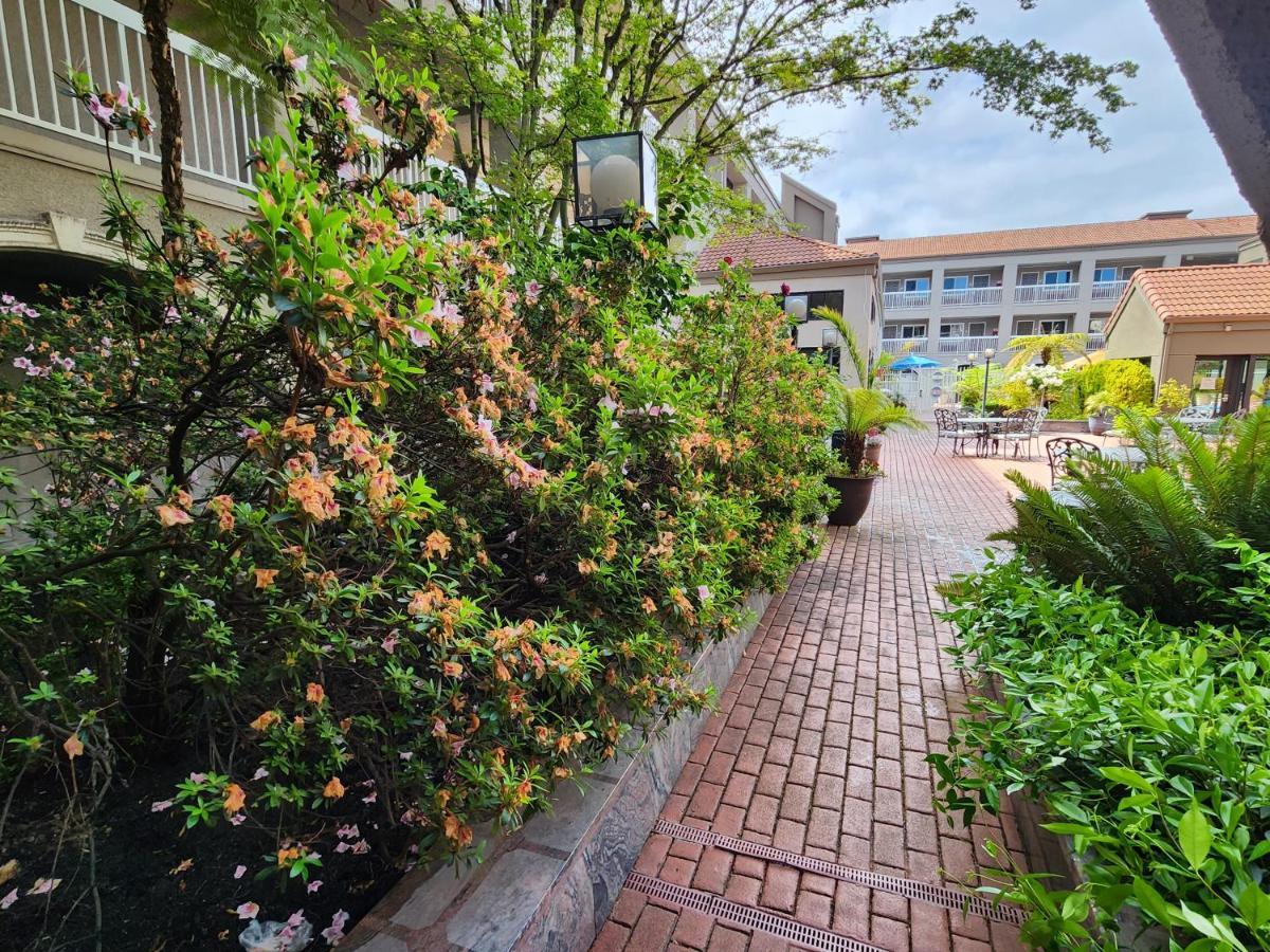 La Quinta By Wyndham San Francisco Airport West Ξενοδοχείο Millbrae Εξωτερικό φωτογραφία